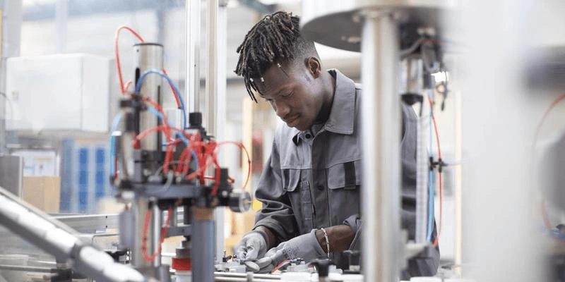 Poursuite d’Étude ou Métier : Que faire après un BTS MS ?